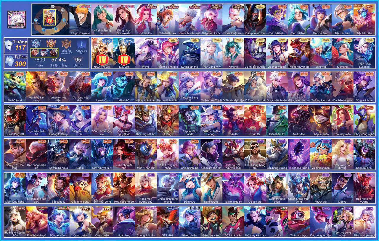 Account Preview