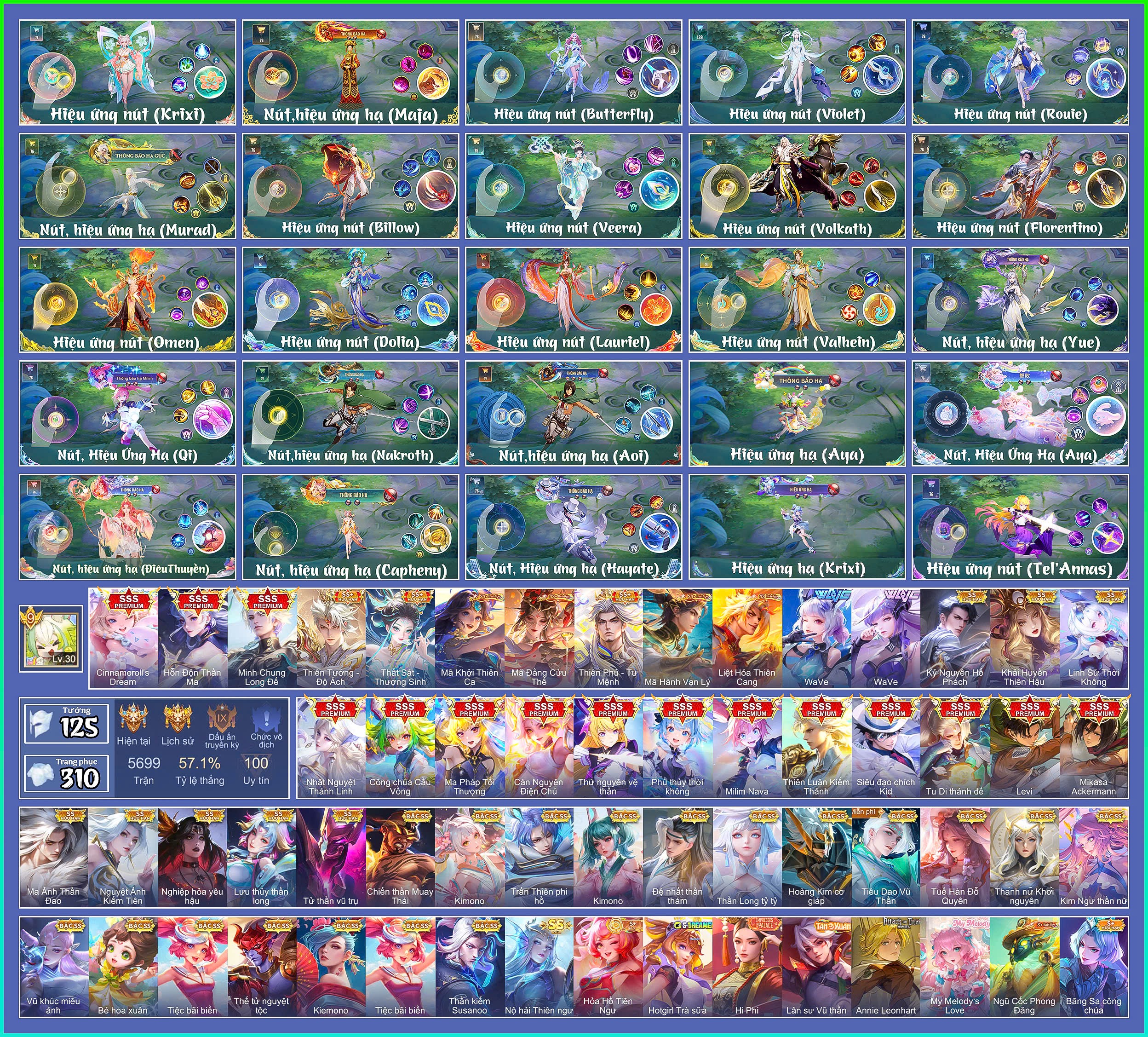 Account Preview