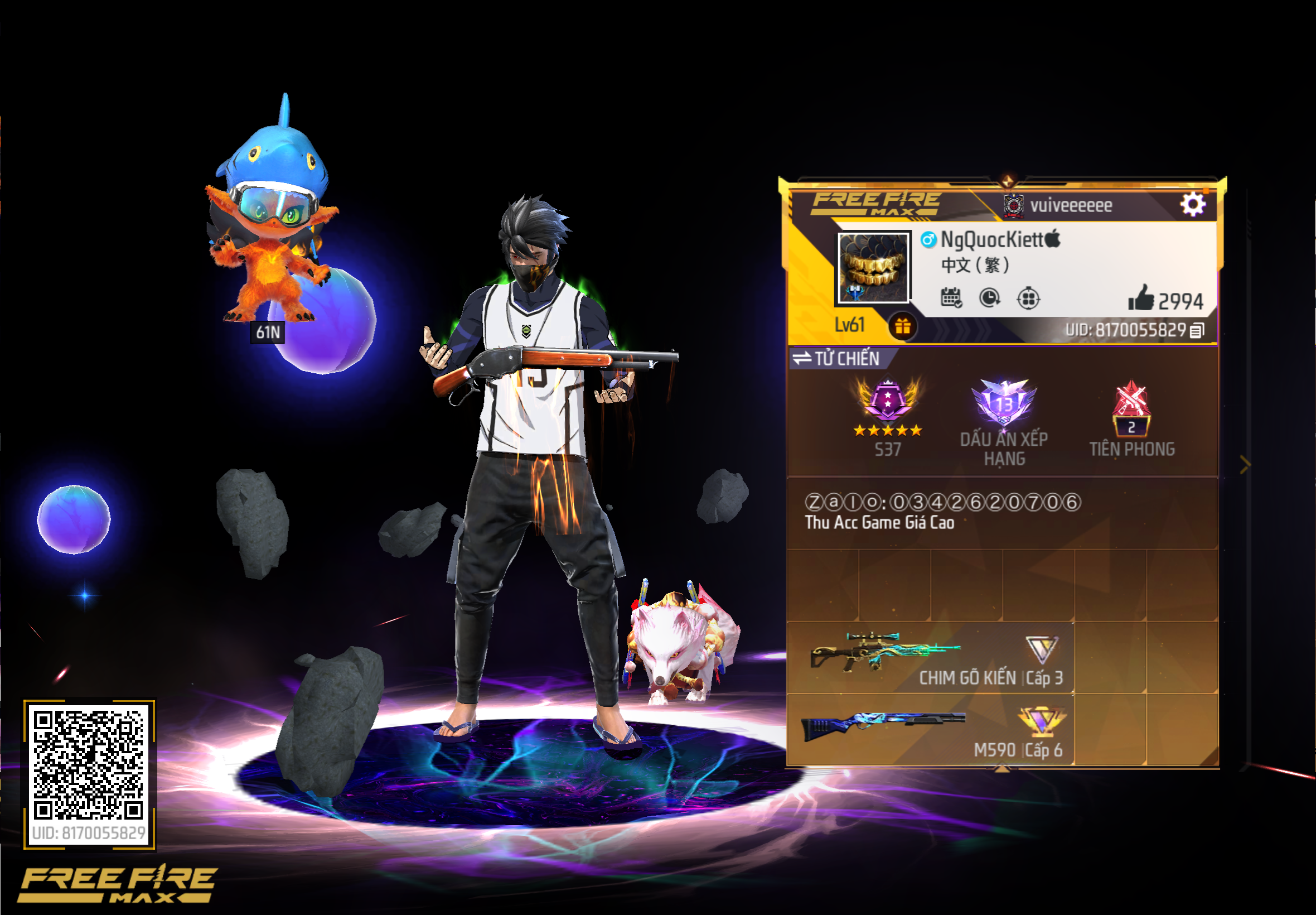 Account Preview