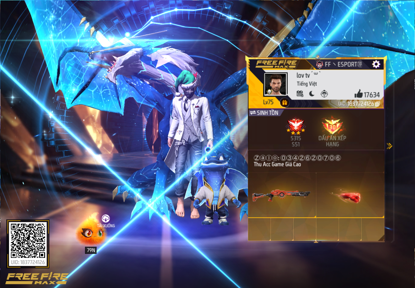 Account Preview