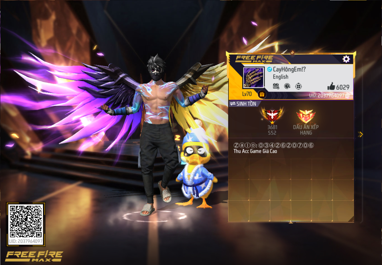 Account Preview