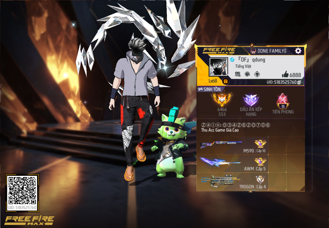 Account Preview